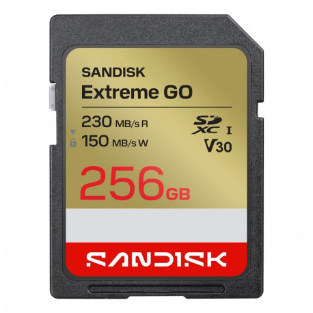 MEMORY SDXC 256GB UHS-I/SDSDXGN-256G-GNCIN SANDISK SDSDXGN-256G-GNCIN (619659227906)