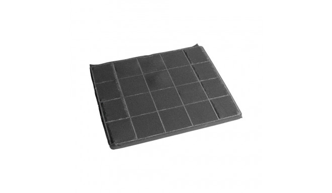 Electrolux lõhnafilter ECFBPL02
