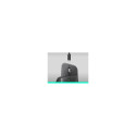 Logitech MX Master 4 for Business - Graphite