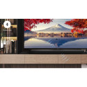 TCL S55HE