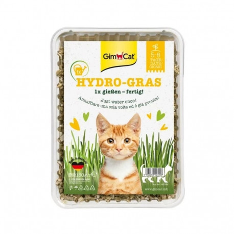 GIMCAT Hydro-Gras Grass – cat treat – 150g