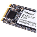 M.2 256GB Intenso Top Performance