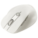 Asus hiir MD105 juhtmevaba, valge