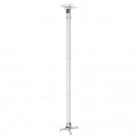 "Vision Display Mount TM-1200, Ceiling, 20 Kg, White"