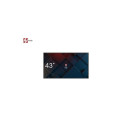 AVTEK INFORMATION MONITOR DS2 43"