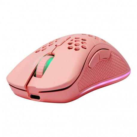 Deltaco Gaming hiir GAM-120-P paremakäeline RF-juhtmevaba Bluetooth USB Type-C laser 4800 DPI