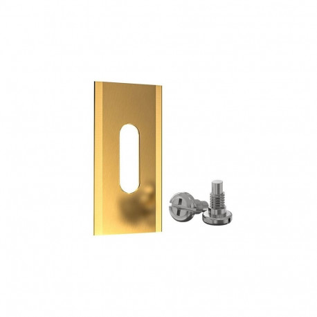 Auto-Mover Blade, Titanium Coating 35x18x0.6 mm, 30pcs