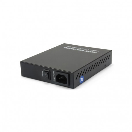 LevelOne haldatav Fast Ethernet meediakonverter RJ45 to SFP