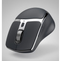 WM-800 multi device mouse black