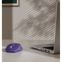 WM-450 multi device mouse blue