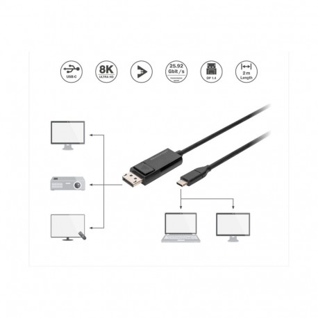 Digitus kahepoolne adapterkaabel 2 m AK-300334-020-S USB Type C DisplayPort'iks