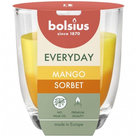 Lõhnastatud küünal H8CMD7CM mango sorbet