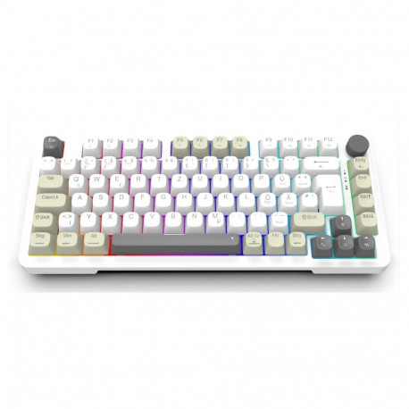 Inca klaviatuur IKG-455 mänguri USB RF-juhtmevaba Bluetooth saksa QWERTY, valge