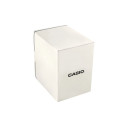 CASIO A168WGG-1BDF Men's watch