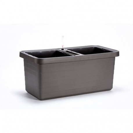 URBALIVE istutuskast BERBERIS DUO 78 x 39cm, hall