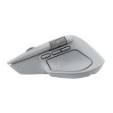 Input Device - Logitech MX Master 4 Wireless Mouse, 8000 DPI, USB-C, Grey
