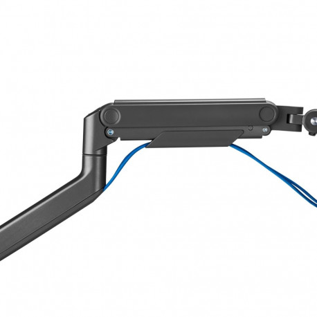 Digitus Single Monitor Mount, 49", 20 kg