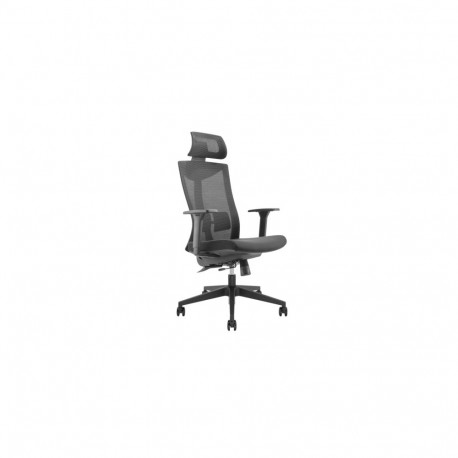 Office Chair - Lumi Legend High-Back Mesh Chair with Lumbar Support, Black
