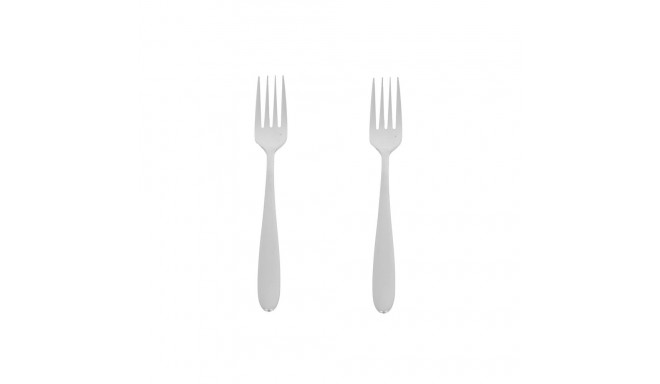 2PCS DINNER FORK SET