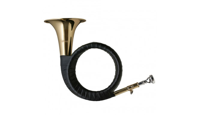 Stagg jahisarv WS-FS275S Bb
