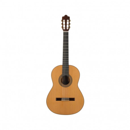 Prodipe Guitars klassikaline kitarr Soloist 900 4/4