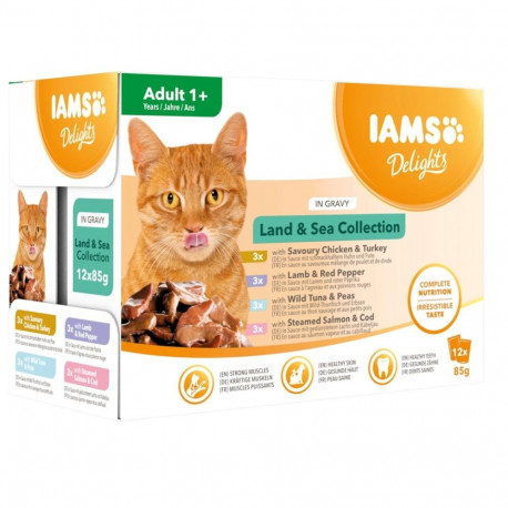 IAMS DELIGHTS märg kassitoit maa ja meri kollektsioon kastmes karbis 12x85g