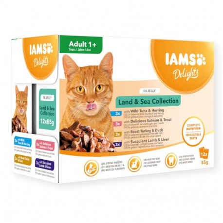 IAMS DELIGHTS Land & Sea Collection in Jelly box – wet cat food – 12x85g