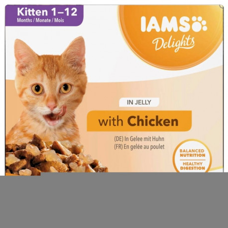 IAMS märg kassitoit DELIGHTS kassipoegadele želee 8x85g