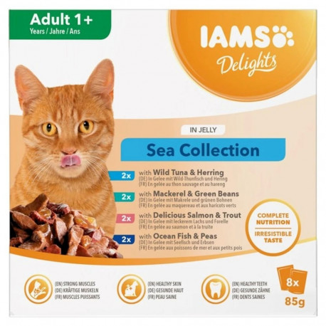 IAMS DELIGHTS Adult Sea in Jelly box – wet cat food – 8x85g