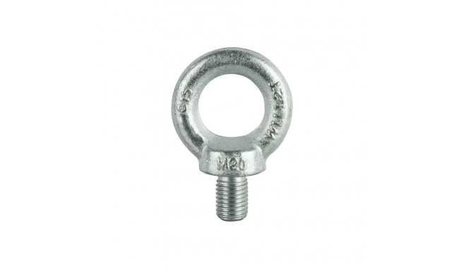 SCREW-LOOP DIN580 M20 ZN(5)