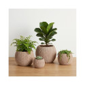 CEMENT POT BTP05A D12 H9CM