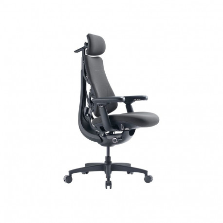 LiberNovo Omni GEN 48 cm Ergonomic Chair (Graphite)