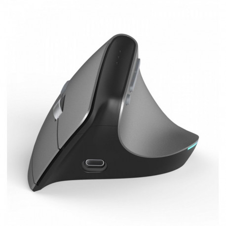 Hiir EWM-700 ergonoomiline mitme seadme, grafiit