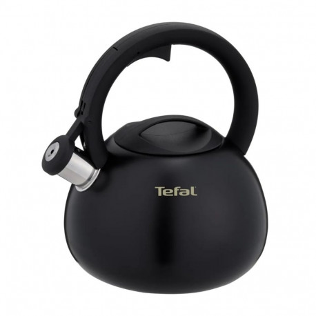 TEFAL mitteelektriline keedukann N4180410, must, matt