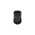 Gembird MUSW2-7B-01 Dual-mode wireless mouse (2.4G + BT), 1600 DPI, 7-button, black