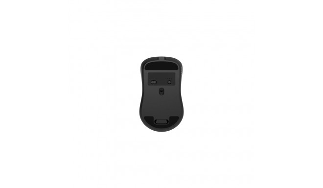 Wireless Mouse - GEMBIRD MUSW2-7B-01 1600 DPI 7-Button Black