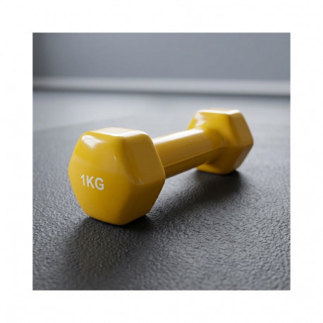 vinüülhantel LS2001 1kg