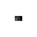 Razer Ergonomic Mouse  Pro Click V2 Vertical  Wireless