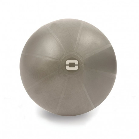 Toorx Liveness Gym ball AYP-002 D65cm with pump