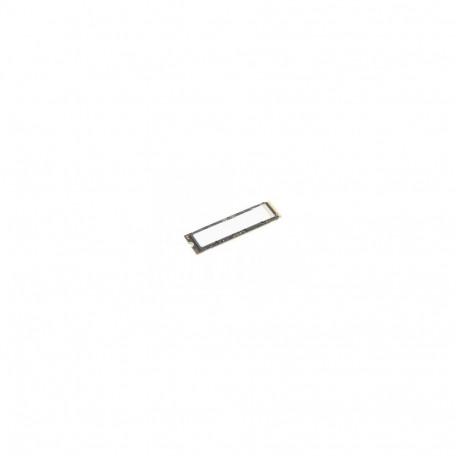 LENOVO TS  512GB PERFORMANCE PCIE GEN5 NVME OPAL2 M.2 2280 SSD