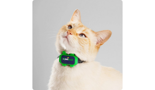 PetLoc8 Mini GPS tracking device