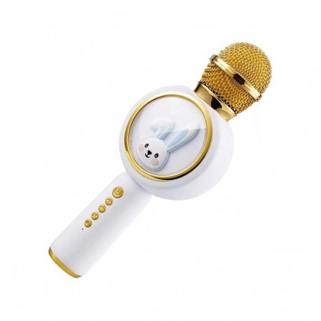 ZS51 karaokemikrofon Bluetooth-kõlariga