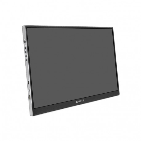 ANMITE A160W04 16" Portable Monitor