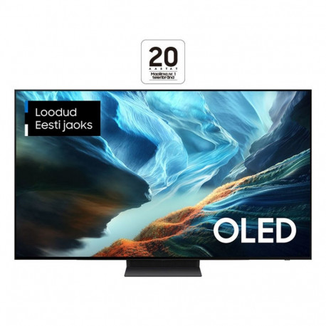 Samsung QE55S90HAEXXH 4K OLED