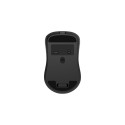 GEMBIRD Dual-mode 7-button wireless mouse 2.4G + BT black
