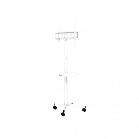 Gembird põrandastatiiv telerile ratastel 32-55inch, valge