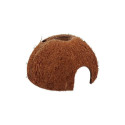 Terrarium decor : Repti Planet Coco Shell M