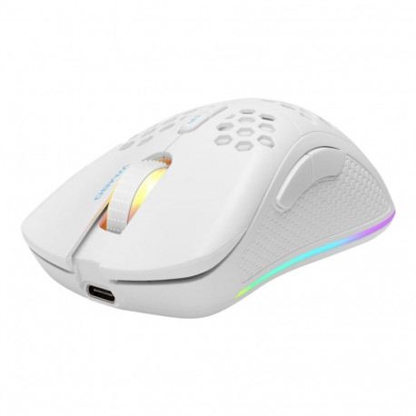 Deltaco Gaming GAM-120-W mouse Right-hand RF Wireless + Bluetooth + USB Type-A Optical 4800 DPI