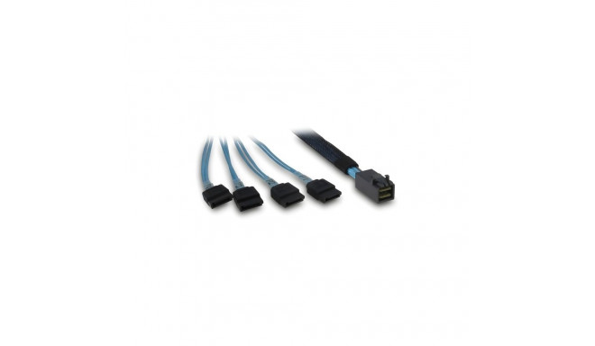 Inter-Tech SFF-8643 - 4x SATA/SAS 0.7m 12Gbit/s, sinine