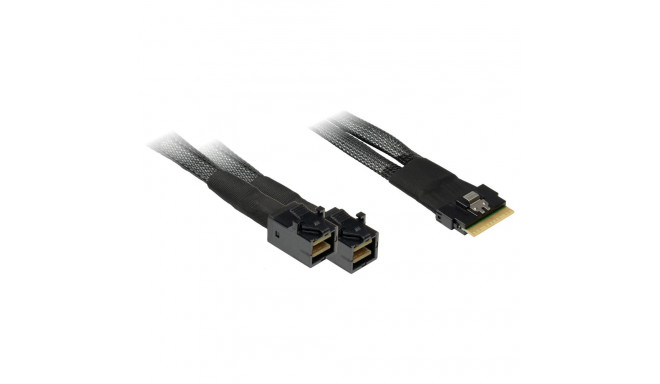 "Inter-Tech SFF-8654 8i > 2x SFF-8643 0,75m Kabel"